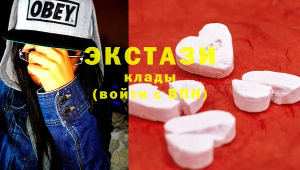 индика Магас